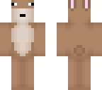 look like squirel