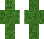 camo soldier skin