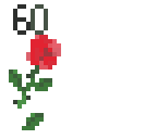 60 lovelies