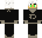advanced danny phantom skin