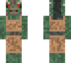 lizard