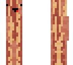 baconnnnn derp