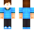 myskinrig