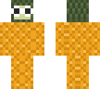 pineaple guy