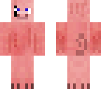 k9vpig