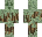 lichen