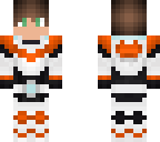 orange paladin
