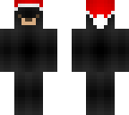 sky - santa bear
