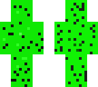 slender creeper