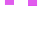brain