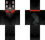 my cat form
