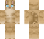 brown cat