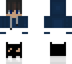 gvsd