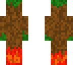 grass