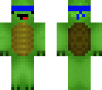 turtle derp