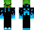 ice turtle