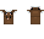 bear hoodie