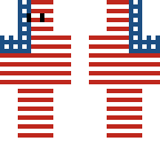 new york flag man