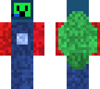 space turtle