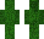 bush 003