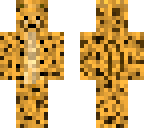 cheetah