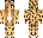 two coloured jaguar
