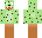 mint e chip