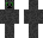 grey cat