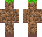 grass