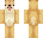 meeko's doge