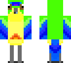 orange bellied parrot