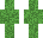 camo