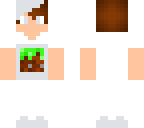 minecraft boy