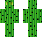 cacti guy