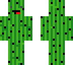 derpy cactus guy