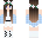 skin minecraft