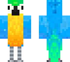 bird 