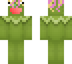 lil kermit