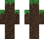 dirt