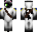 pirate cat
