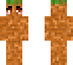 dirt