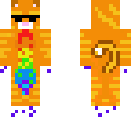 orangerainbow cat