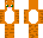 ginger cat skin