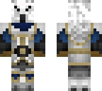 high elf paladin