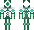 a server owner