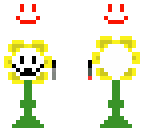flower and chara