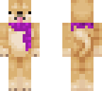 cute scarf doge girl