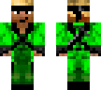 green turtle guy