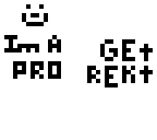 im a pro