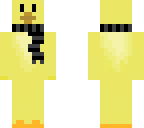 duck with scarf